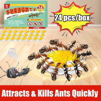 Ants completely goneUbat semut Ant killer Racun semut Ant bait