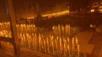 太陽能led麥穗燈蘆葦燈戶外防水花園裝飾公園廣場景觀水稻插地燈