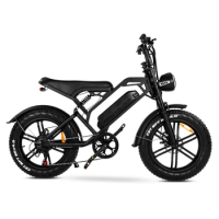 Oem Factory Electric Hybrid Bike Cheap Electric Bike Fat Tire Mountain Bicycle Steel Import from China 48V V20 15 Ah 20"
