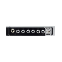 Valeton ASPHALT TAR-20G - 20W Guitar Head Amplifier