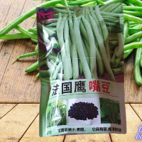 500 GRAM SAYUR BUNCIS KENYA PREMIUM