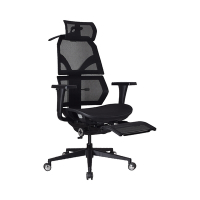 完美主義 艾索人體工學椅(尼龍椅腳)電腦椅/辦公椅(2色)