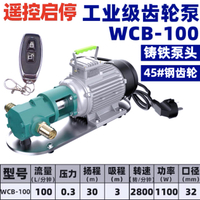 齒輪泵小型遙控WCB齒輪油泵自吸式電動抽油泵高粘度菜籽油自動泵