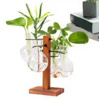Plant Propagation Station Home Plant Terrarium Kit Desktop Hydroponic Air Planter Bulb Glass Vase With Wooden Stand Bulb