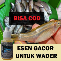 ESEN Umpan UNTUK Mancing IKAN WADER AMPUH SIAP PAKAI 30ML
