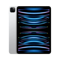 iPad Pro 11吋 WiFi+行動網路 2TB 銀色