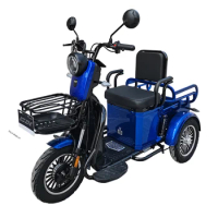 EEC 500W electric motorcycle 48V20Ah battery electric tricycle 3 wheel electric bike big power for elder people
