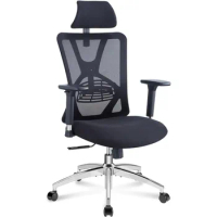 Ergonomic Office Chair - High Back Desk Chair With Adjustable Lumbar Support Armchair Furniture