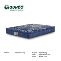 Springbed Guhdo Standart Plustop Ukuran 100x200 29cm