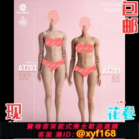 {保固一年 可打統編}耐操1/6 女兵人素體 worldbox AT201 AT202 AT203 AT206 肥臀模特