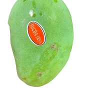 Mangga harumanis | buah mangga harumanis