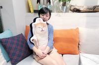 【特價】朝隈俊男 Animal Life 貓瑜珈寶寶 橘貓 伸懶腰 大抱枕 靠枕