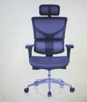 [COSCO代購4] W132324 Ergoking 全功能加大網布人體工學椅