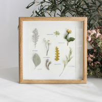 熱賣預購－乾燥花束相框1 植物標本擺飾 掛牆 創意手工復古飾品