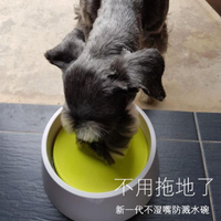 狗碗狗狗喝水器不濕嘴水碗喝水碗寵物貓狗喝水盆泰迪飲水器用品