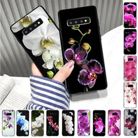 Phalaenopsis Orchid Flowers Phone Case For Samsung Galaxy Note9 note10plus note20ultra S24 S23ULTRA S21FE S22PLUS S20FE cover