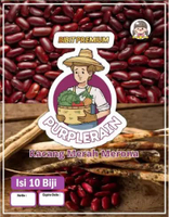 Bibit Premium Kacang Merah Merona | Benih Kacang Merah Merona