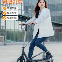 Sitting and Standing Adult Scooter Non-Electric Scooter