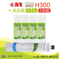 【水蘋果】Everpure H300 公司貨濾心+高品質10英吋5微米PP濾心(5支組)