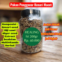 Healing pakan penggacor kenari Jantan macet jadi Gacor,  Betina macet Jadi ngiwir