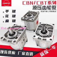 [可開發票]液壓齒輪泵油泵總成CBN-F310/314/316/20/25小型高壓油泵大全泵頭