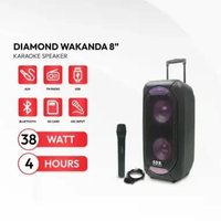 TANAKA Diamond Wakanda 12/10/8 Inch Speaker Portable Bluetooth Indoor Senam Karaoke Wireless Mic 8 I