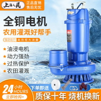 【最低價】【公司貨】上海人民潛水泵220v污水家用抽水抽水機高揚程農用灌溉排污抽水機