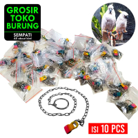 SEMPATI GROSIR Rantai Borgol Burung Nuri Falk Parkit Parrot Hantu Isi 10 Pcs Rantai Kaki Burung Lati