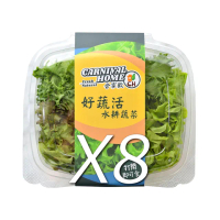 【合家歡 水耕蔬菜】綜合生菜盒800g(宅配 水耕 萵苣 生菜)