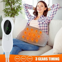 220v 電熱毯法蘭絨柔軟冬季保暖墊家居新【非醫療器材】