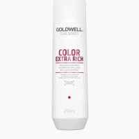 Goldwell Dualsenses Color Extra Rich Brilliance Shampoo, Anti-Colour Fading For Thick, Coarse Hair 2
