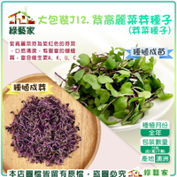 【綠藝家】大包裝紫高麗菜芽種子70公克(約1萬3千顆)(芽菜種子)