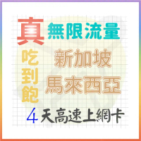 【AOTEX 奧特克斯】4天新加坡上網卡馬來西亞上網卡真無限高速流量吃到飽(手機卡SIM卡網路卡預付卡)