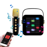 Karaoke Speaker With Mic Outdoor Wireless Karaoke Speaker Machine Intelligent Lighting Entertainment Speaker For Family