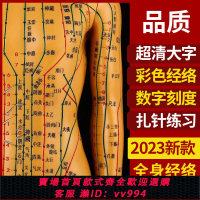 {公司貨 最低價}人體針灸模型經絡穴位中醫全身十二銅人模特圖小人扎針練習小皮人