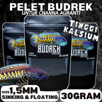 Pelet Budrek Auranti SaintHan booster warna biru dorsal, yellow rim, gondrong dan highfin di channa 