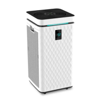China Air Purifier Hepa Filter H11 Hepa H13 Private Label Indoor Portable Air Purifier for Home Office
