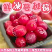 【WANG 蔬果】加拿大冷凍蔓越莓1kgx1包(1kg/包_家庭號)
