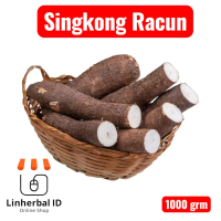 Singkong Racun Sapi Kuru-Singkong Genderuwo Segar 500 Grm