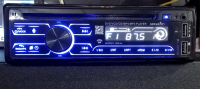 SKELETON SINGLEDIN DVD Player SKT-D319GB