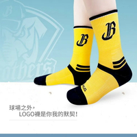 sNug X02- 中信兄弟精品中筒運動襪 厚底 中筒襪 吸濕 快乾 除臭 台灣製【iSport愛運動】