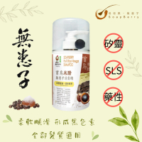 皂皂果 - 首烏米醋無患子洗髮精 300mL