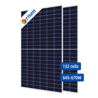 Europe hot sell bifacial double glass 550W Risen 110 cell solar and photovoltaic panels