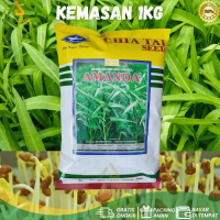 PRTN Benih Kangkung Unggul BISI Amanda Chia Tai Seed 1 Kg Kapal Terbang KP750GRATIS ONGKIR