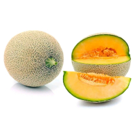 15 butir biji/benih melon sakata