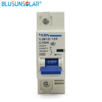 1P 100A 220V DC Circuit Breaker ( DC SOLARB Mini Circuit Breaker ) FOR PV ( Solar ) System DL0226