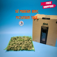1L Mountain Tree Maifan Mineral Ring lọc nước cho hồ cá cảnh