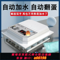 【台灣公司 可開發票】110V孵化機小型家用孵化器全自動智能雞鴨鵝鴿孵蛋機鸚鵡孵蛋器
