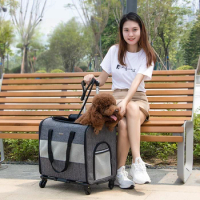 Professional Pet Trolley Bag for Cats Dogs Carry Going Out Multi Functional Trolley Box Foldable Pet Cat Bag Space Capsule Bag