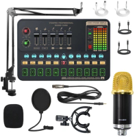 Professional Audio V10XPRO Sound Card Set BM900 Mic Studio Condenser Microphone for PC Computer Karaoke Live Streaming Game Mic